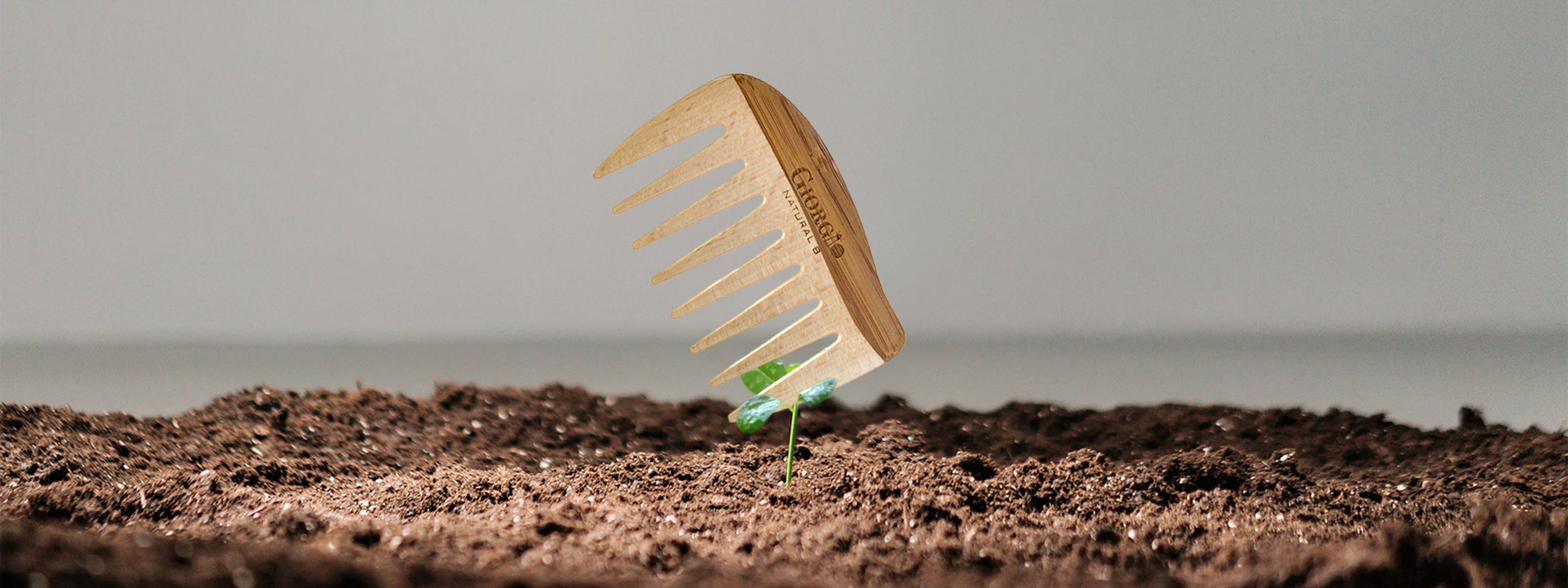 Timeless Elegance for Your Hair